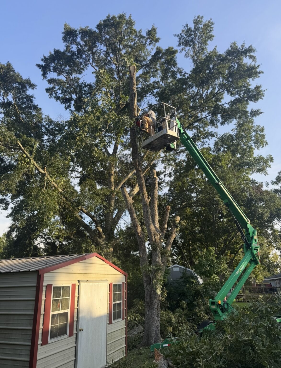 Prodigy Land Mangement | Expert Land Clearing Services in Sumrall ...